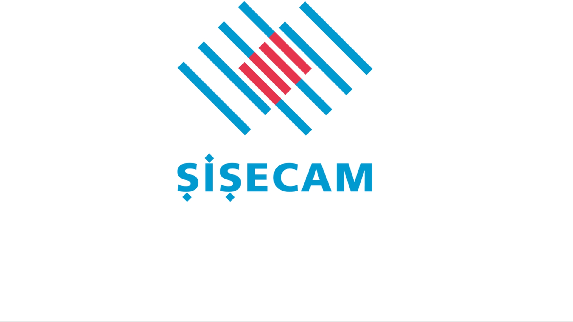 Sisecam